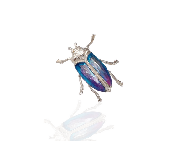 jewel beetle brooch -blue