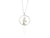 penguin hoiho pendant