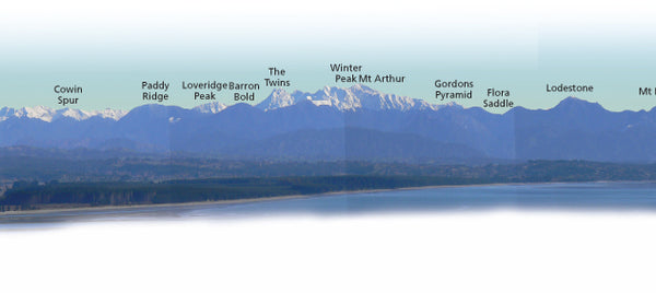 tasman bay