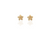 Gold Frangipani flower studs