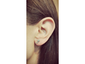 Fantail bird stud earrings by Jewel Beetle