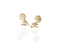 nz fantail bird stud earrings in gold