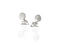 nz fantail bird stud earrings in silver