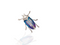 jewel beetle brooch -  blue