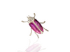 jewel beetle brooch -magenta