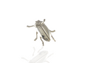 jewel beetle brooch -  plain silver