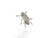 jewel beetle brooch -plain silver