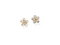 manuka flower stud earrings in silver and gold
