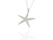 large starfish pendant in silver
